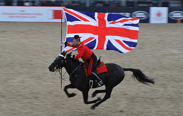 Police Horse Displays